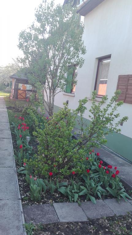 Plajbi Apartment Hajdúszoboszló Dış mekan fotoğraf